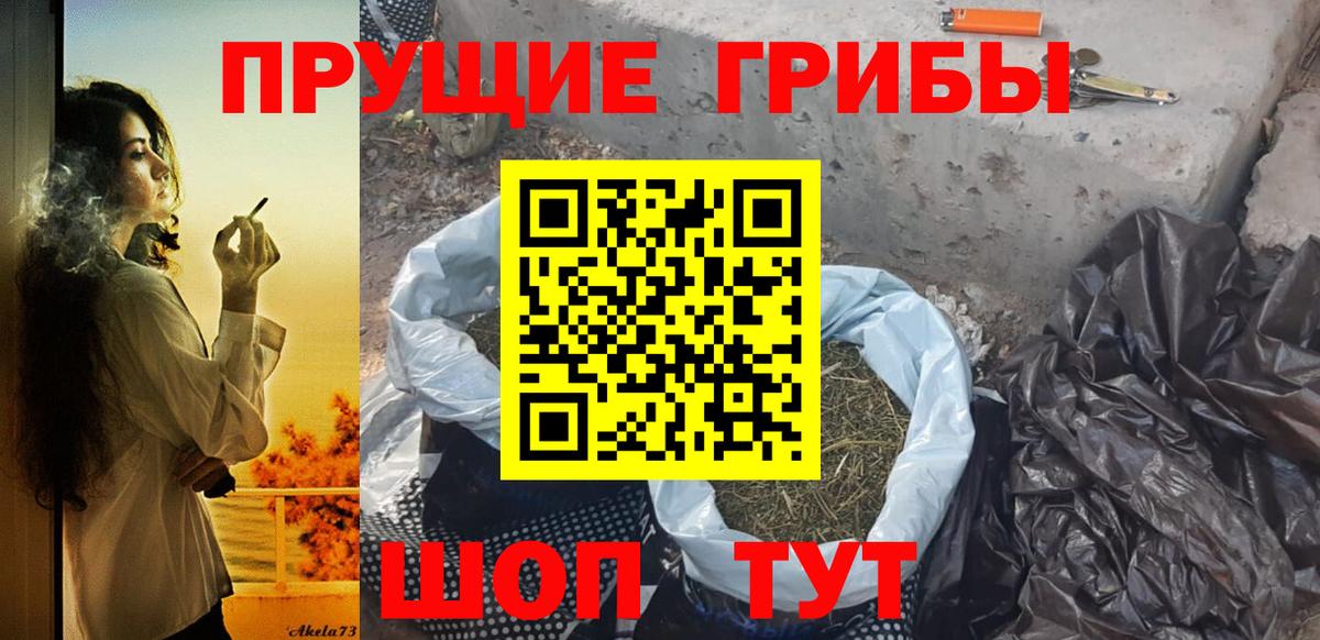 Псилоцибиновые грибы ЛСД Мичуринск